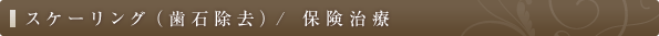 スケーリング（<a href=